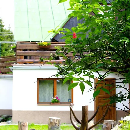 Country house Daniela Dedinky
